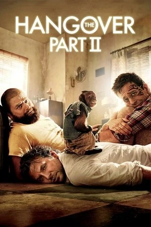 The Hangover Part II 2011 Hindi - English Audio WEB-DL 720p - 480p - 1080p